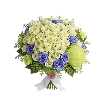 Delicate Petal Cascade