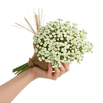 Blossom Radiant Whisper