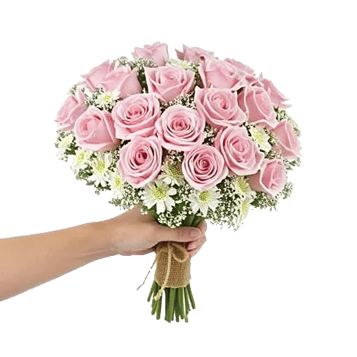 Blushing Rose Symphony