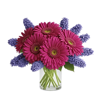 Crimson Blossom Harmony