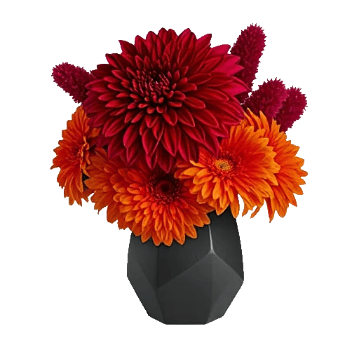 Crimson Blossom Harmony