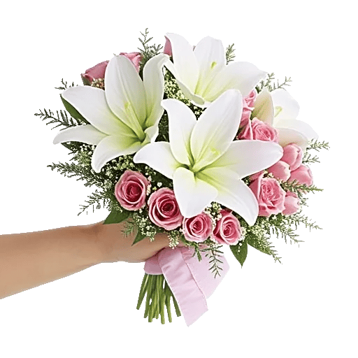 Blushing Rose Symphony