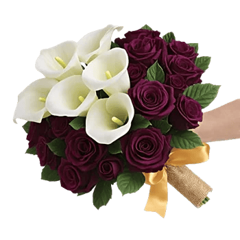 Elegant Calla Lilies