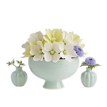 Ivory Blossom Radiance