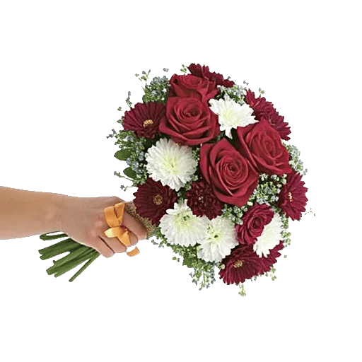 Blushing Rose Symphony