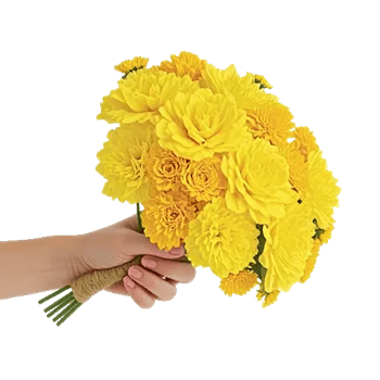 Petal Harmony Bliss
