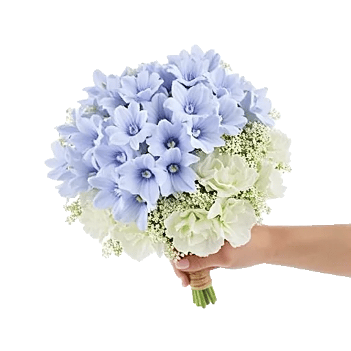 Blossom Petal Serenity