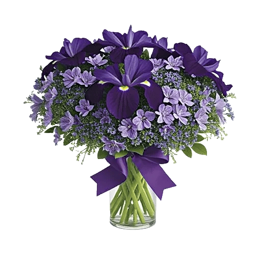 Ivory Blossom Radiance