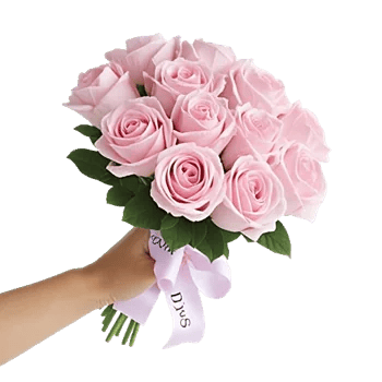 Pastel Pink Roses