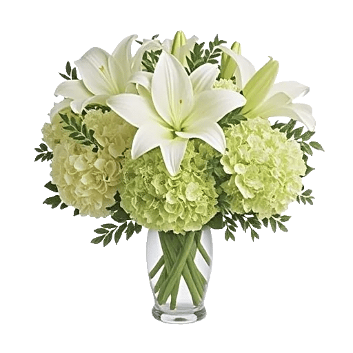 Ivory Blossom Radiance