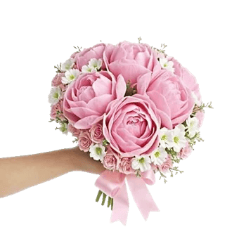 Peony Petal Harmony