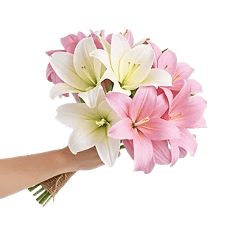 Elegant Calla Lilies