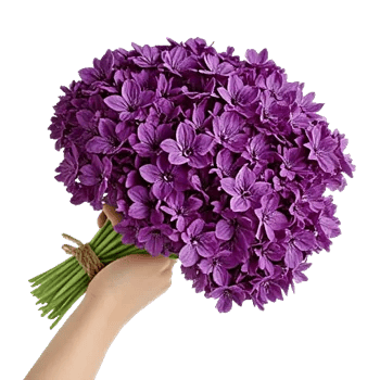 Lavender Bloom Grace