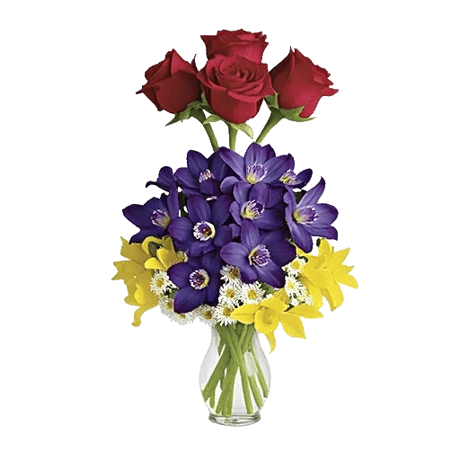 Radiant Rose Symphony