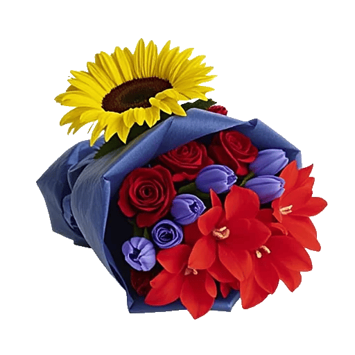 Tropical Sunflower Burst