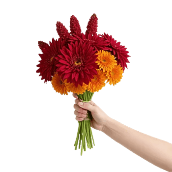 Crimson Blossom Harmony