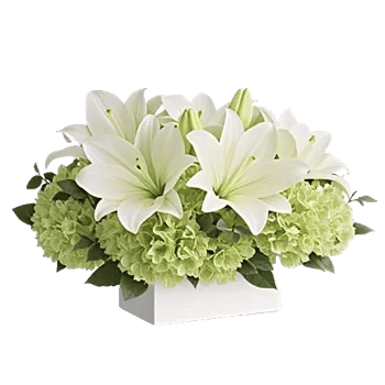 Graceful Lily Display