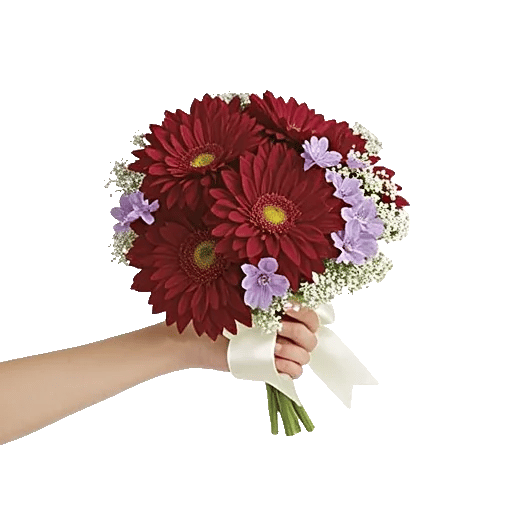 Crimson Blossom Harmony