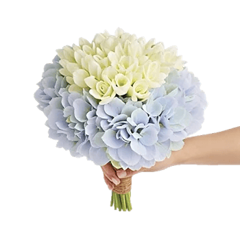 Serene Petal Harmony