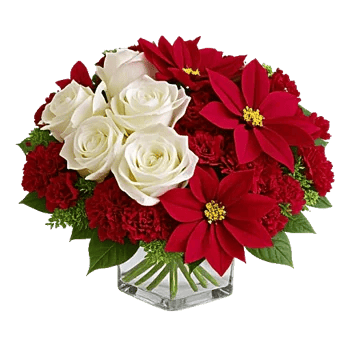 Delicate Petal Cascade