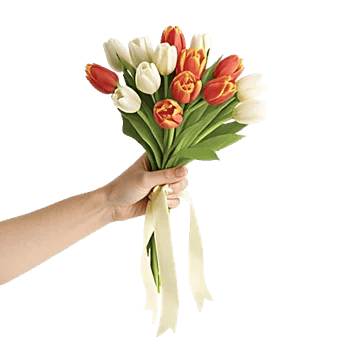 Velvet Tulip Display