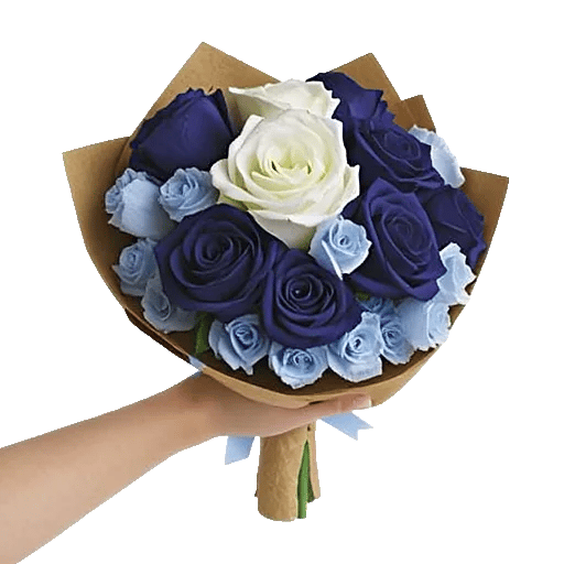 Elegant Blue Roses