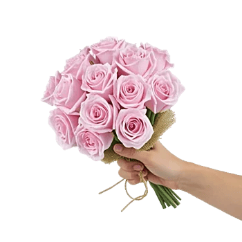 Pink Pastel Roses