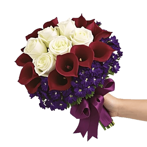 Elegant Calla Lilies