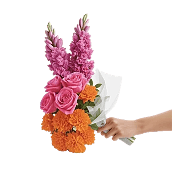 Pastel Pink Roses