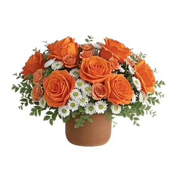 Petal Radiance Bliss