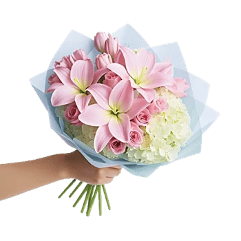 Blossom Petal Serenity