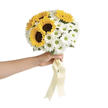 Twinkling Sunflower Dance