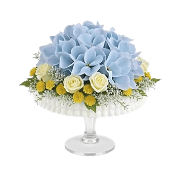 Azure Sky Blooms