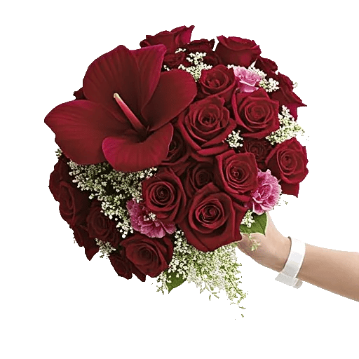 Elegant Calla Lilies