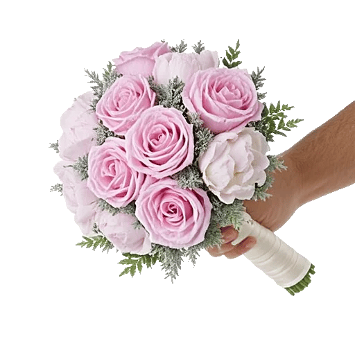Pastel Pink Roses