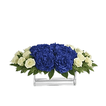 Elegant Blue Roses