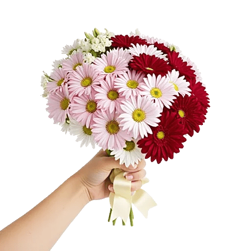 Delicate Petal Cascade