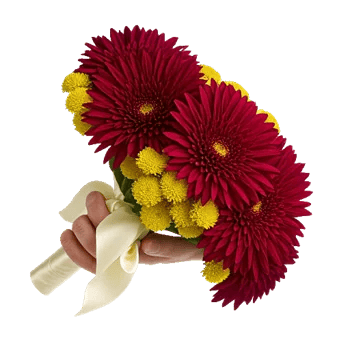 Crimson Blossom Harmony