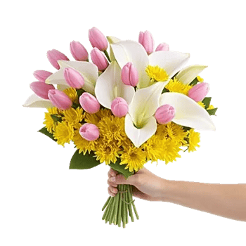 Blossom Harmony Display