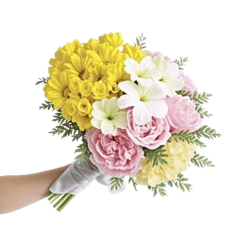 Blossom Harmony Display