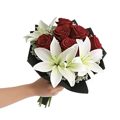 Crimson Rose Elegance