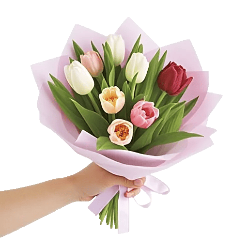 Velvet Tulip Display