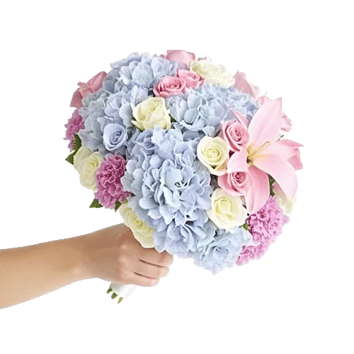 Serene Petal Harmony