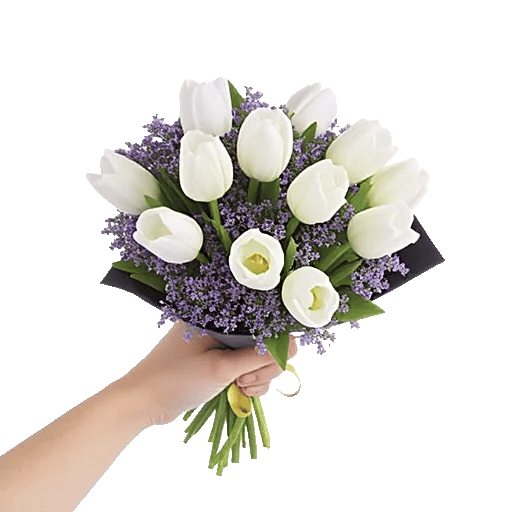 Velvet Tulip Display