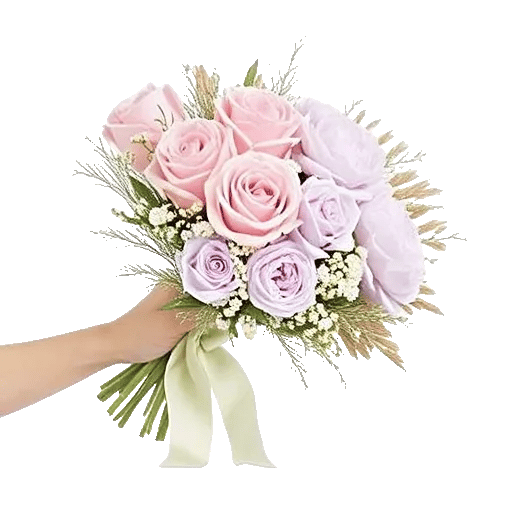 Pastel Pink Roses
