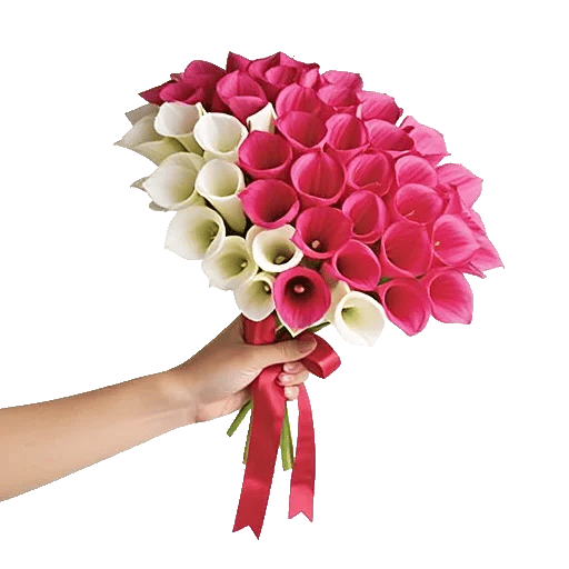 Elegant Calla Lilies