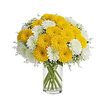 Radiant Bloom Cascade