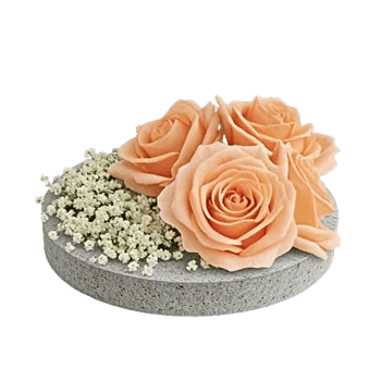 Delicate Petal Cascade