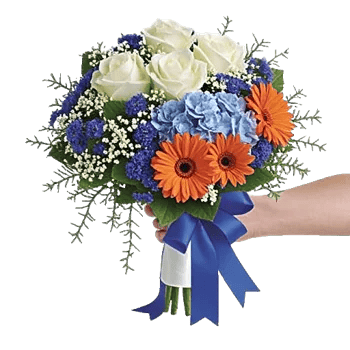 Serene Petal Harmony