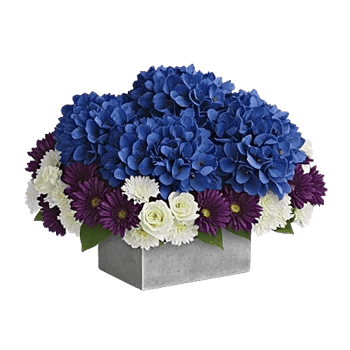 Sapphire Bloom Whisper